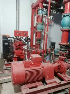 IMG20250321112054